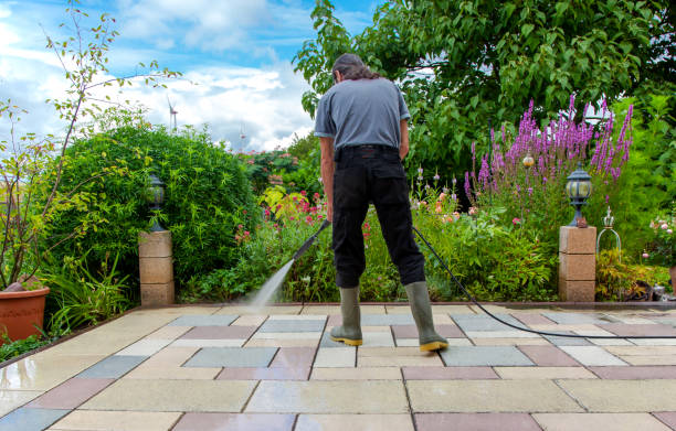 Best Roof Washing  in Yuba City, CA
